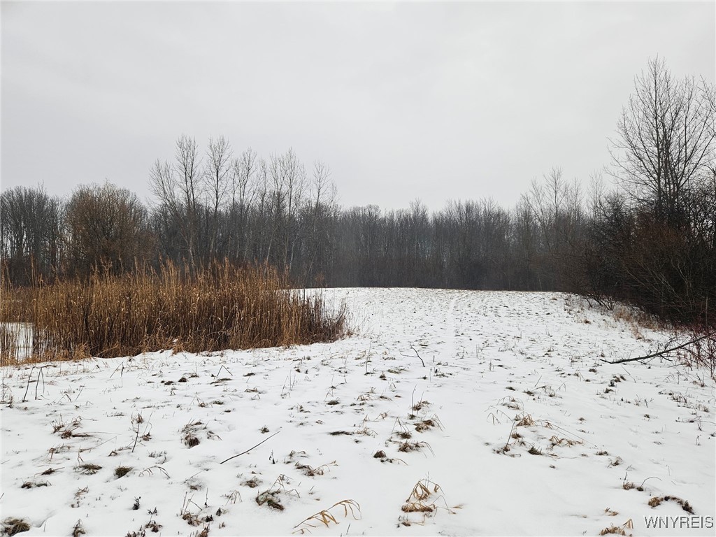 6480 Ditch Road Royalton, NY 14001 - Photo 13 of 18