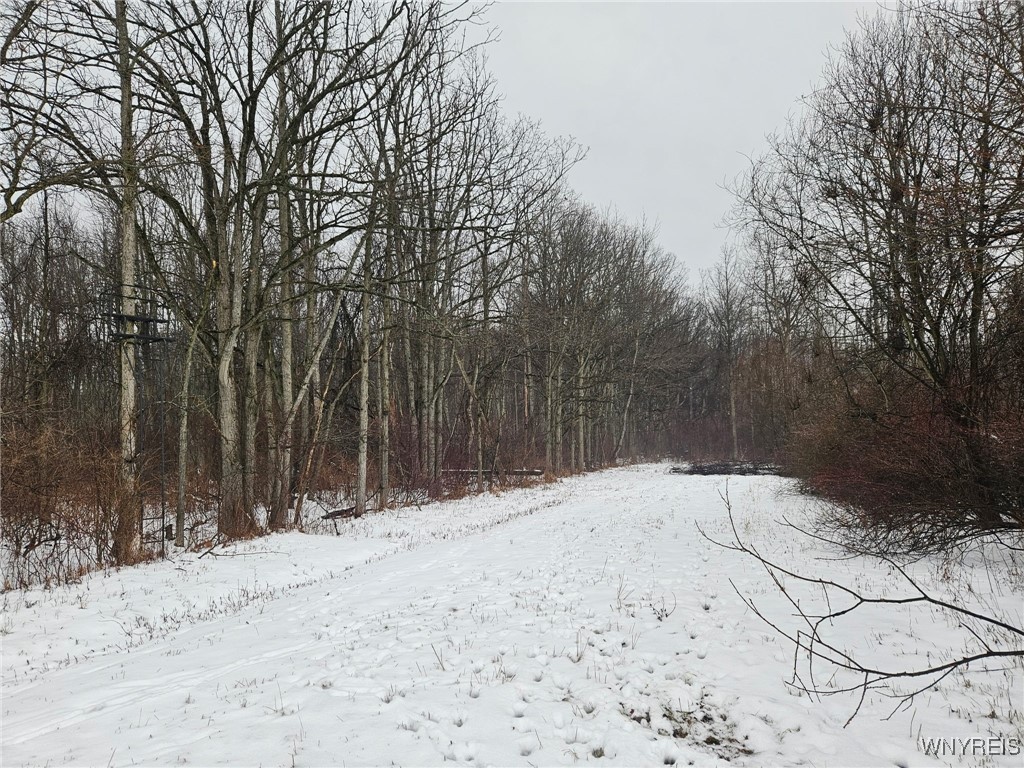 6480 Ditch Road Royalton, NY 14001 - Photo 14 of 18