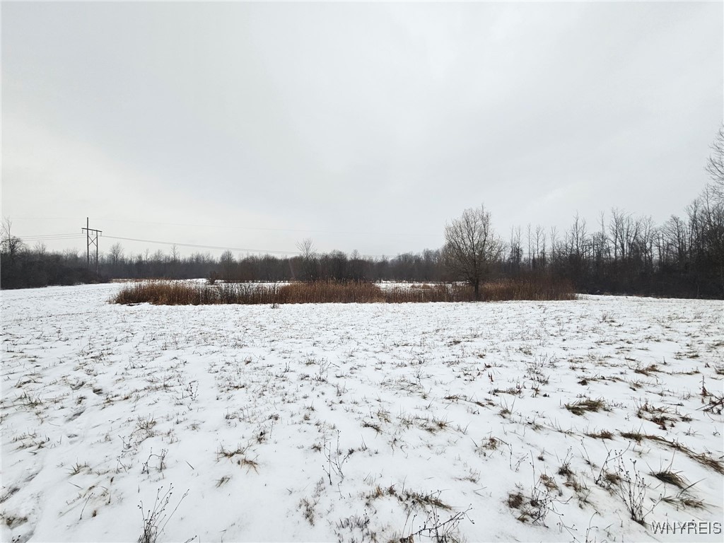 6480 Ditch Road Royalton, NY 14001 - Photo 15 of 18