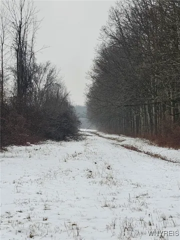 $450,000 | 6480 Ditch Road, Royalton, NY 14001