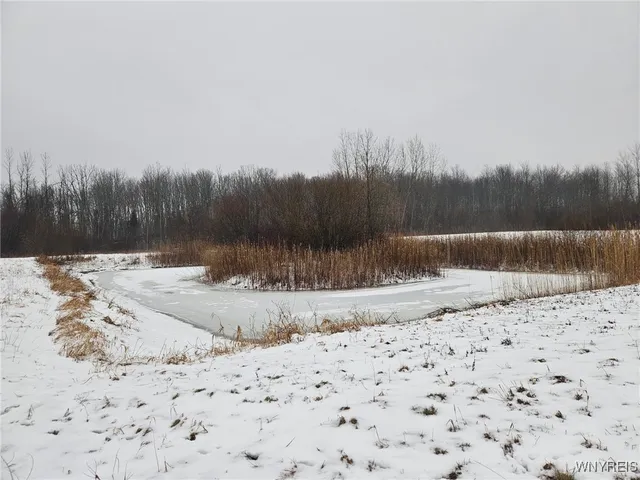 $450,000 | 6480 Ditch Road, Royalton, NY 14001