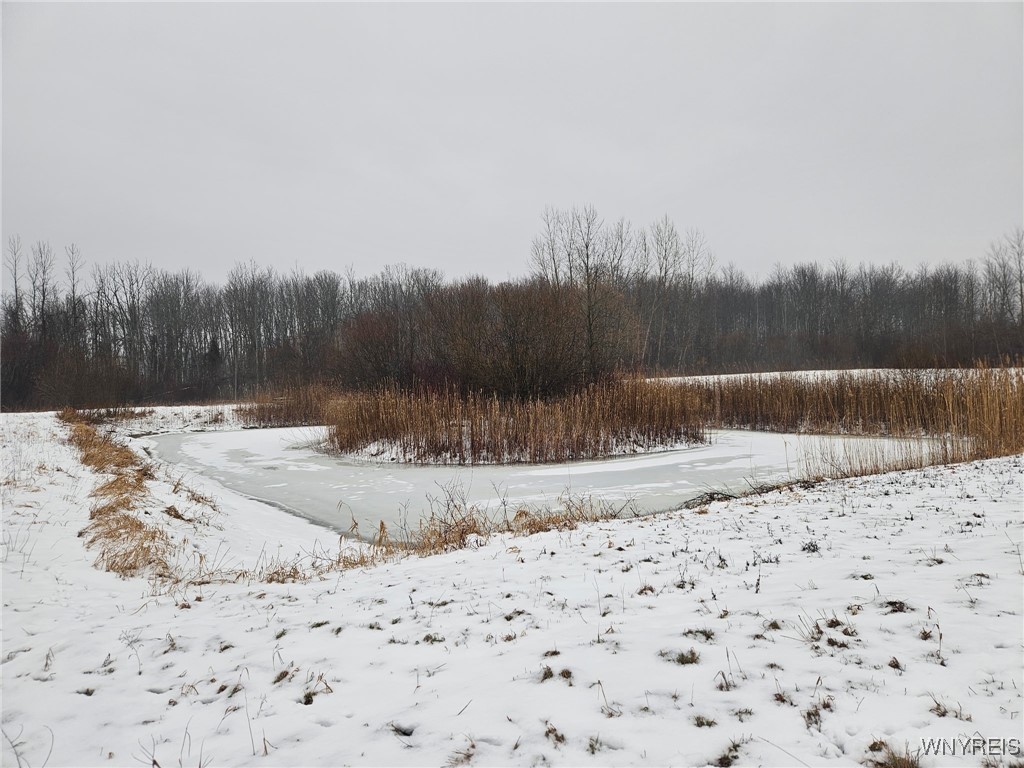 6480 Ditch Road Royalton, NY 14001 - Photo 17 of 18