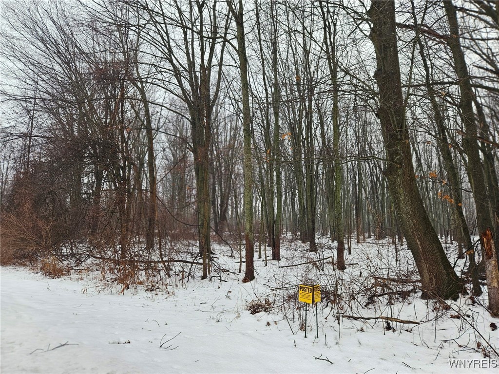 6480 Ditch Road Royalton, NY 14001 - Photo 18 of 18