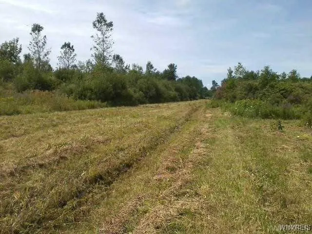 $450,000 | 6480 Ditch Road, Royalton, NY 14001