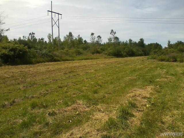 6480 Ditch Road Royalton, NY 14001 - Photo 4 of 12