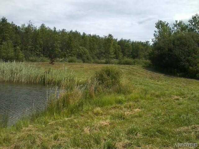 6480 Ditch Road Royalton, NY 14001 - Photo 5 of 12