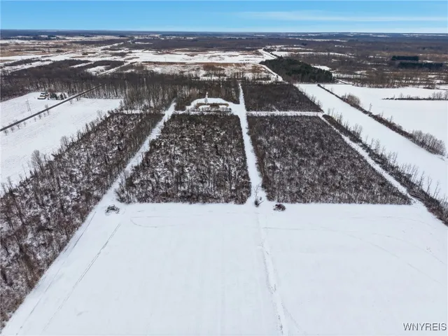 $450,000 | 6480 Ditch Road, Royalton, NY 14001