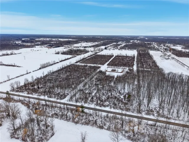 $450,000 | 6480 Ditch Road, Royalton, NY 14001