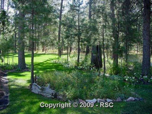 20175 Wissler Ranch Road Colorado Springs, CO 80908 - Photo 15 of 16 Gallery Image 15