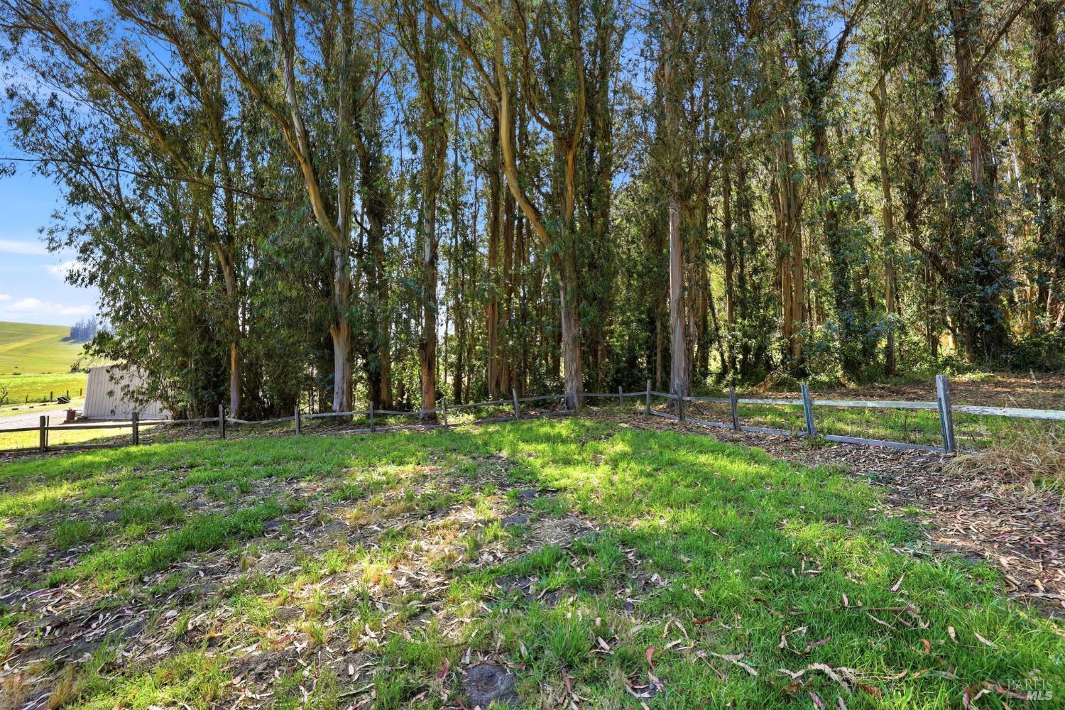 7470 Roblar Road Petaluma, CA 94952 - Photo 38 of 52