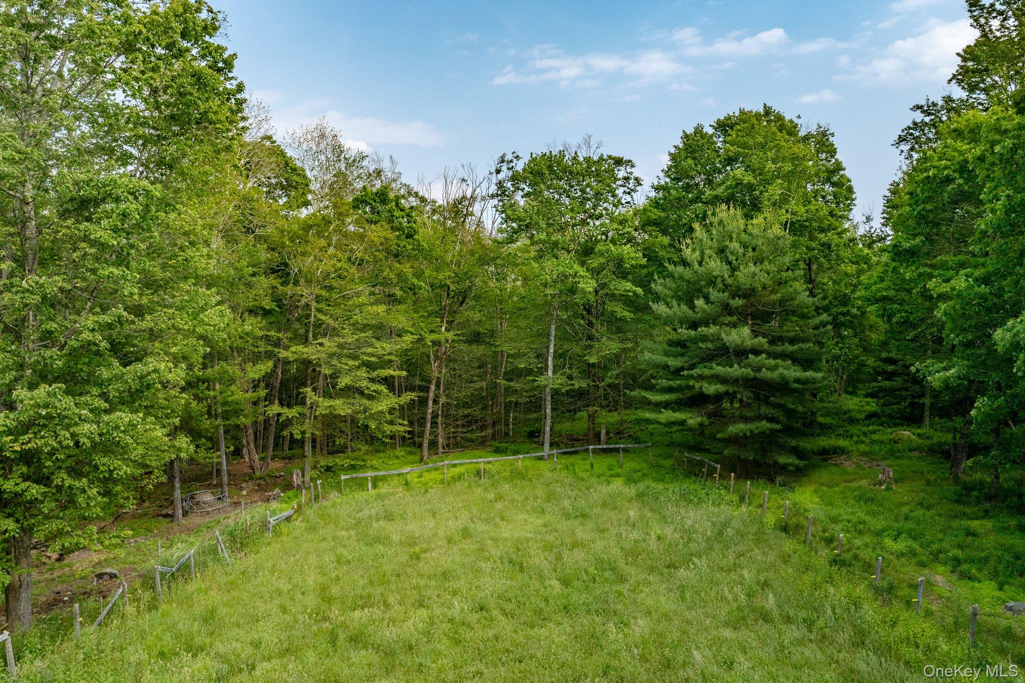 193 Dill Road Forestburgh, NY 12777 - Photo 29 of 31 View of yard featuring a view of trees