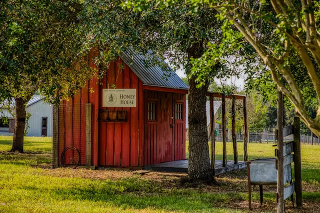 front view of a house with a tree