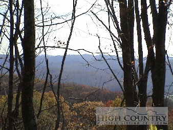 Lot 19 Nettles Ridge Road Beech Mountain, NC 28604 - Photo 1 of 1 Gallery Image 1