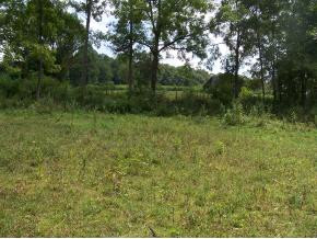 0 Lemons Road Eidson, TN 37731 - Photo 2 of 6 Photo 2