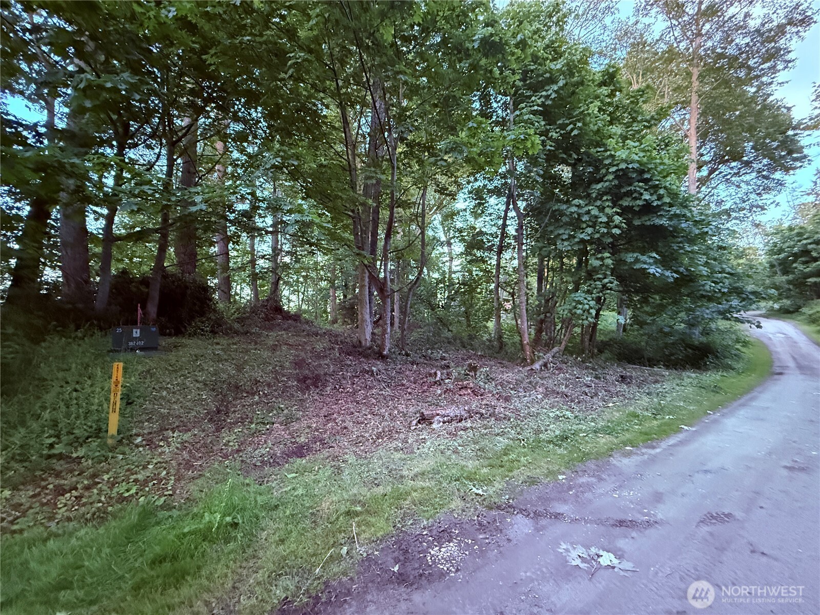 32 K Beach Way Hat Island, WA 98201 - Photo 9 of 28 a view of a forest that has large trees