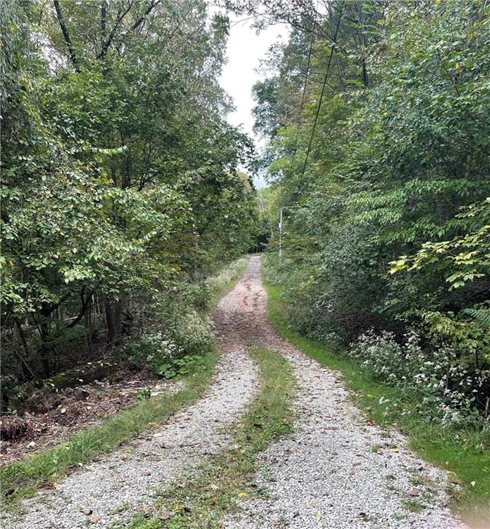 219 Clarke Road Claysville, PA 15323 - Photo 3 of 23 a view of a pathway both side of yard