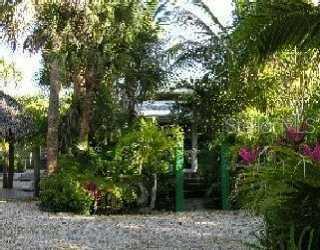 95 Sandy Hook Road North Sarasota, FL 34242 - Photo 1 of 1 a view of a yard with plants and large trees