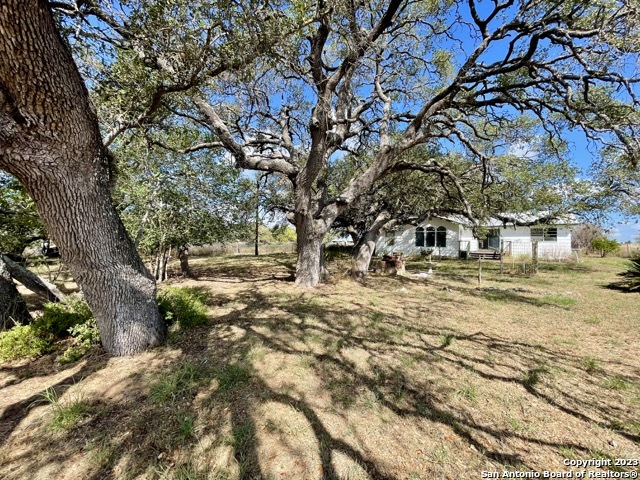 284 County Road 6612 Devine, TX 78016 - Photo 17 of 29
