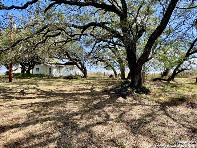 284 County Road 6612 Devine, TX 78016 - Photo 18 of 29
