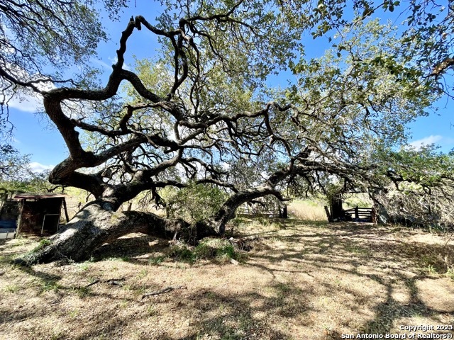284 County Road 6612 Devine, TX 78016 - Photo 22 of 29