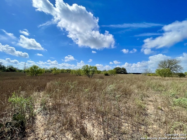 284 County Road 6612 Devine, TX 78016 - Photo 24 of 29