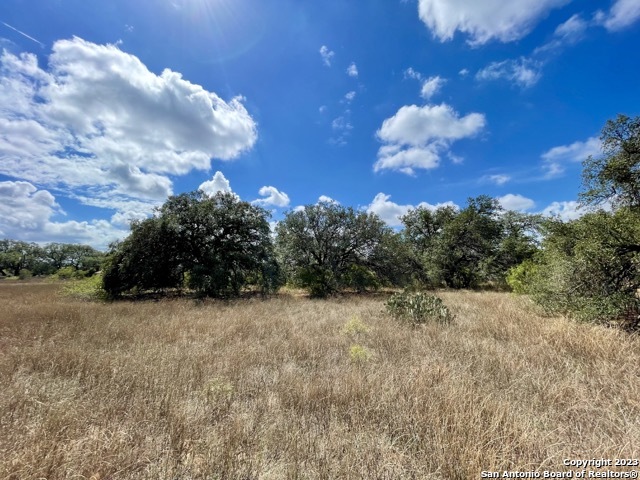 284 County Road 6612 Devine, TX 78016 - Photo 26 of 29