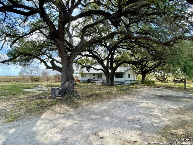 284 County Road 6612 Devine, TX 78016 - Photo 4 of 29