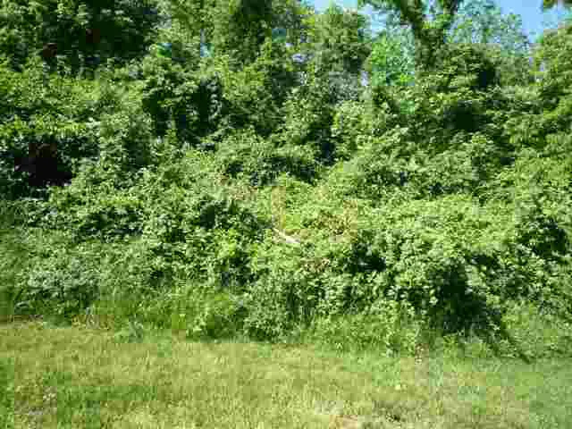 $45,000 | Lot 38 Lakewood, Vincennes, IN 47591