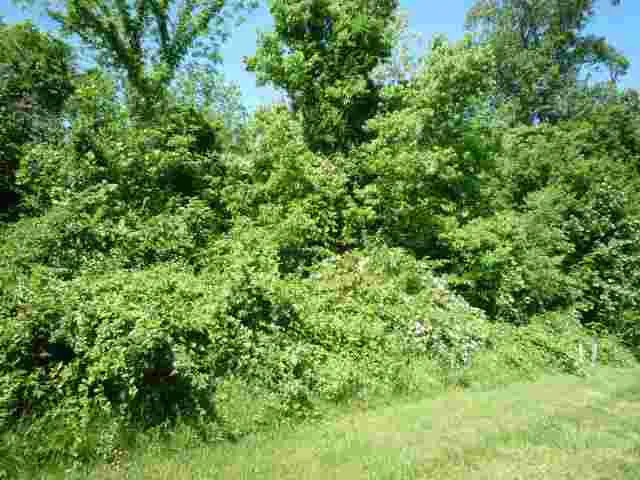 $45,000 | Lot 38 Lakewood, Vincennes, IN 47591