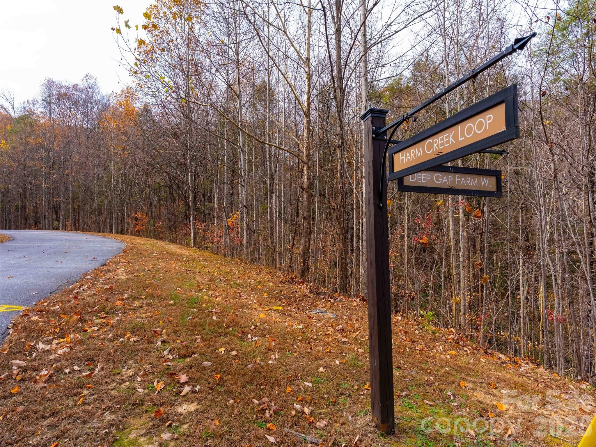 Lot 2110 Harm Creek Loop Mill Spring Mill Spring, NC 28756 - Photo 11 of 18