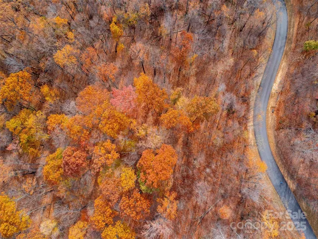 a view of a house with a forest