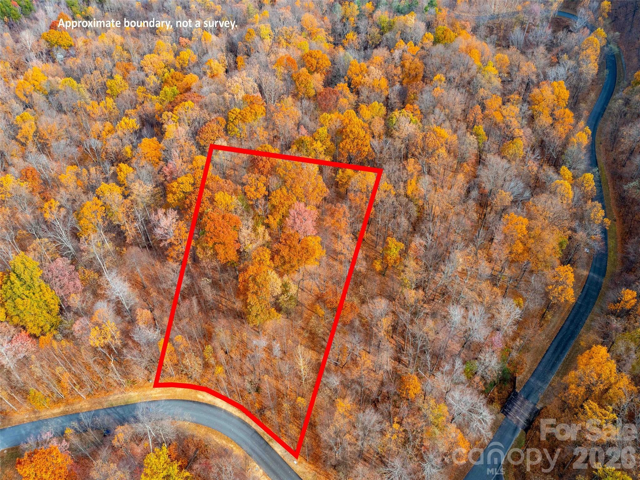 Lot 2110 Harm Creek Loop Mill Spring Mill Spring, NC 28756 - Photo 4 of 18