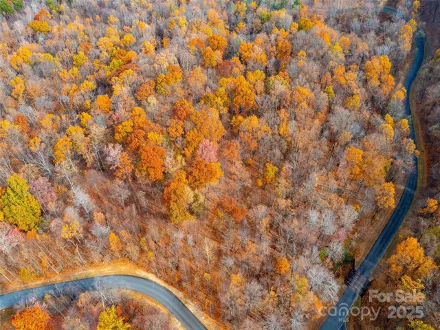 a view of room with trees