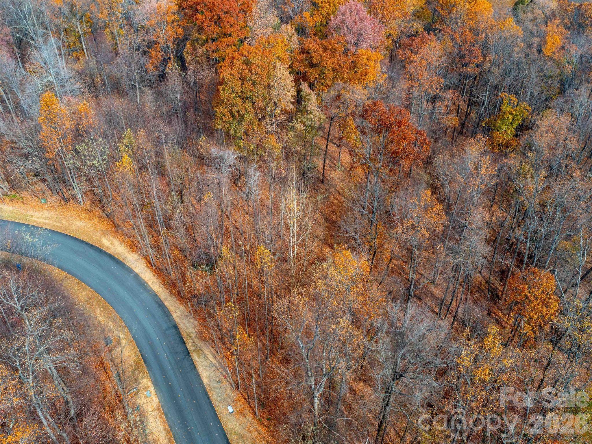 Lot 2110 Harm Creek Loop Mill Spring Mill Spring, NC 28756 - Photo 6 of 18