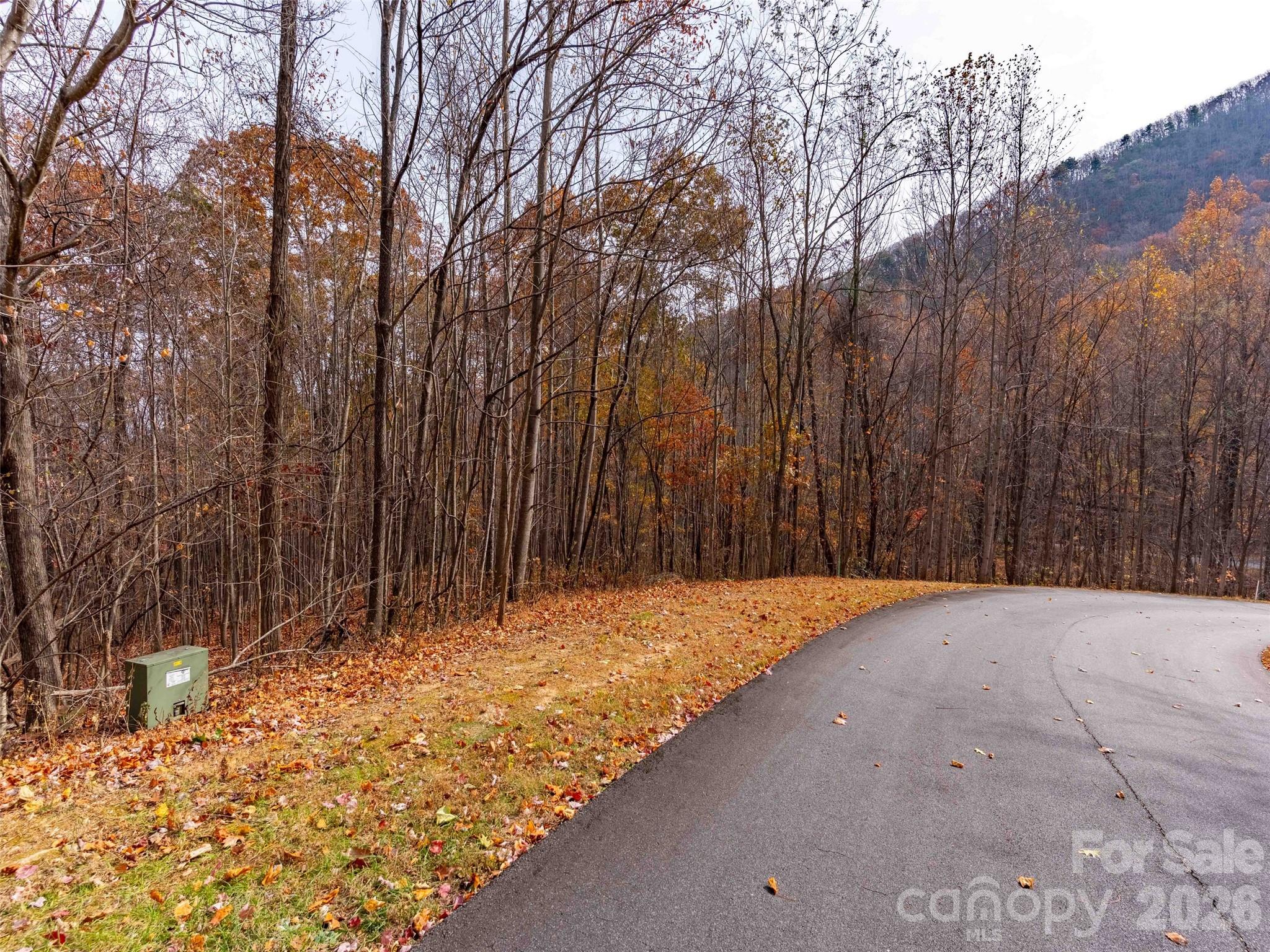 Lot 2110 Harm Creek Loop Mill Spring Mill Spring, NC 28756 - Photo 7 of 18