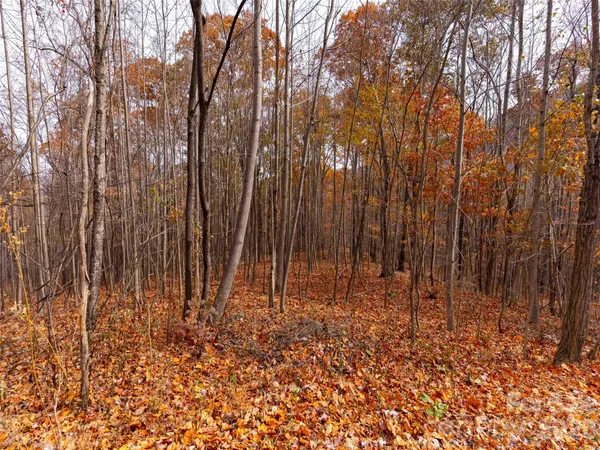 $135,000 | Lot 2110 Harm Creek Loop Mill Spring, Mill Spring, NC 28756