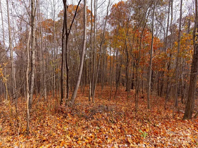 $135,000 | Lot 2110 Harm Creek Loop Mill Spring, Mill Spring, NC 28756
