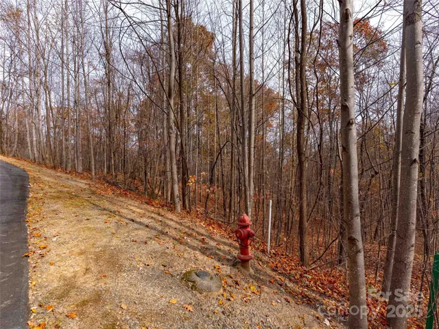 $135,000 | Lot 2110 Harm Creek Loop Mill Spring, Mill Spring, NC 28756