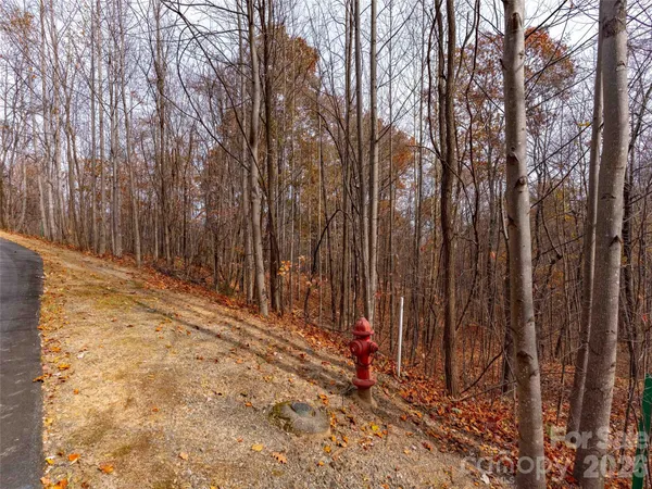 $135,000 | Lot 2110 Harm Creek Loop Mill Spring, Mill Spring, NC 28756