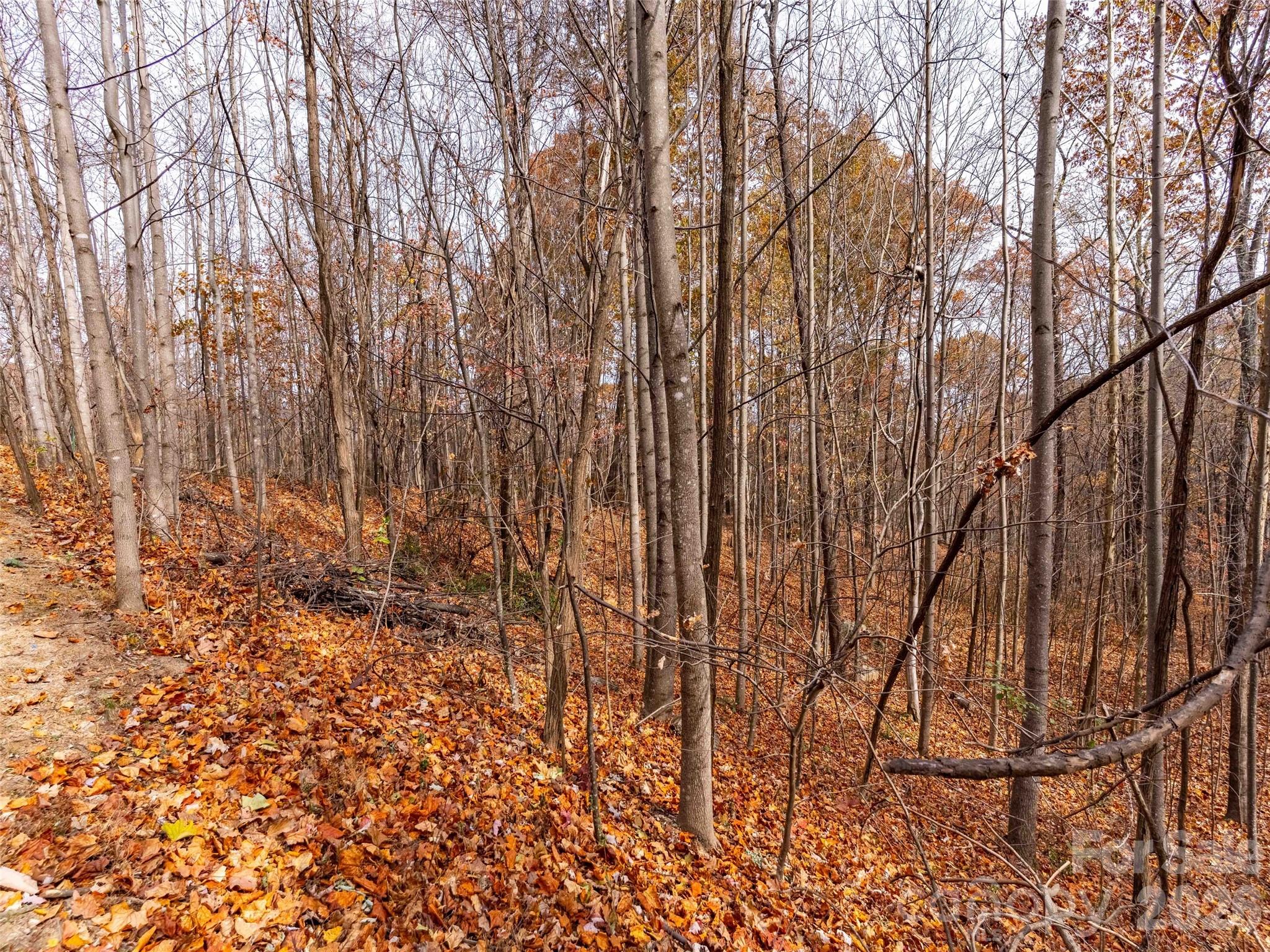 Lot 2110 Harm Creek Loop Mill Spring Mill Spring, NC 28756 - Photo 10 of 18