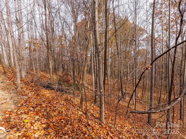 $135,000 | Lot 2110 Harm Creek Loop Mill Spring, Mill Spring, NC 28756