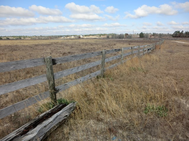 F & G Pickett Post Road Windsor, SC 29856 - Photo 8 of 18