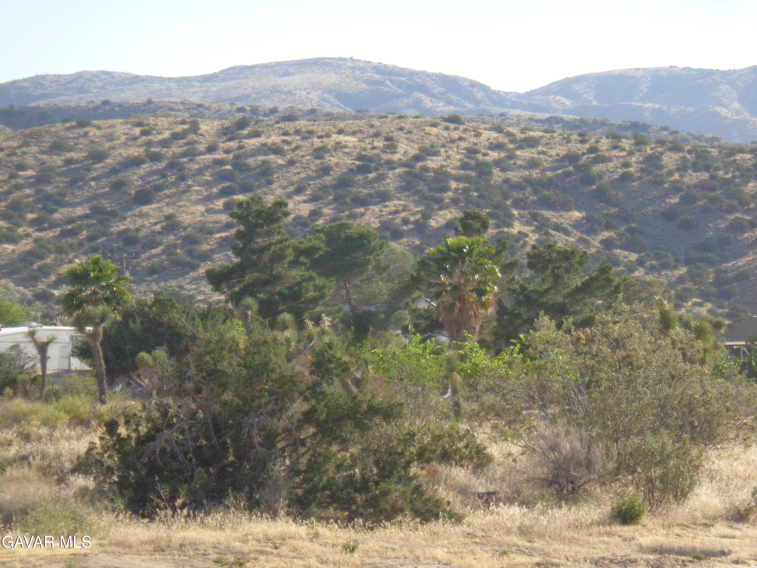 1 Pearblossom Ca Littlerock, CA 93543 - Photo 21 of 21 DSC03793