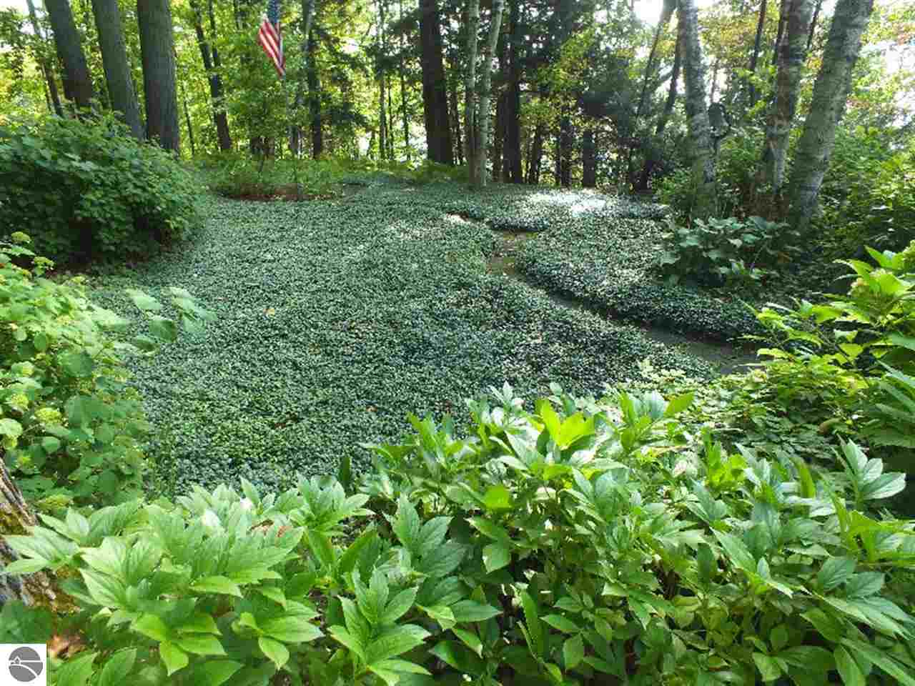 10811 Bluff Road Traverse City, MI 49686 - Photo 4 of 58 1784702-3.JPG