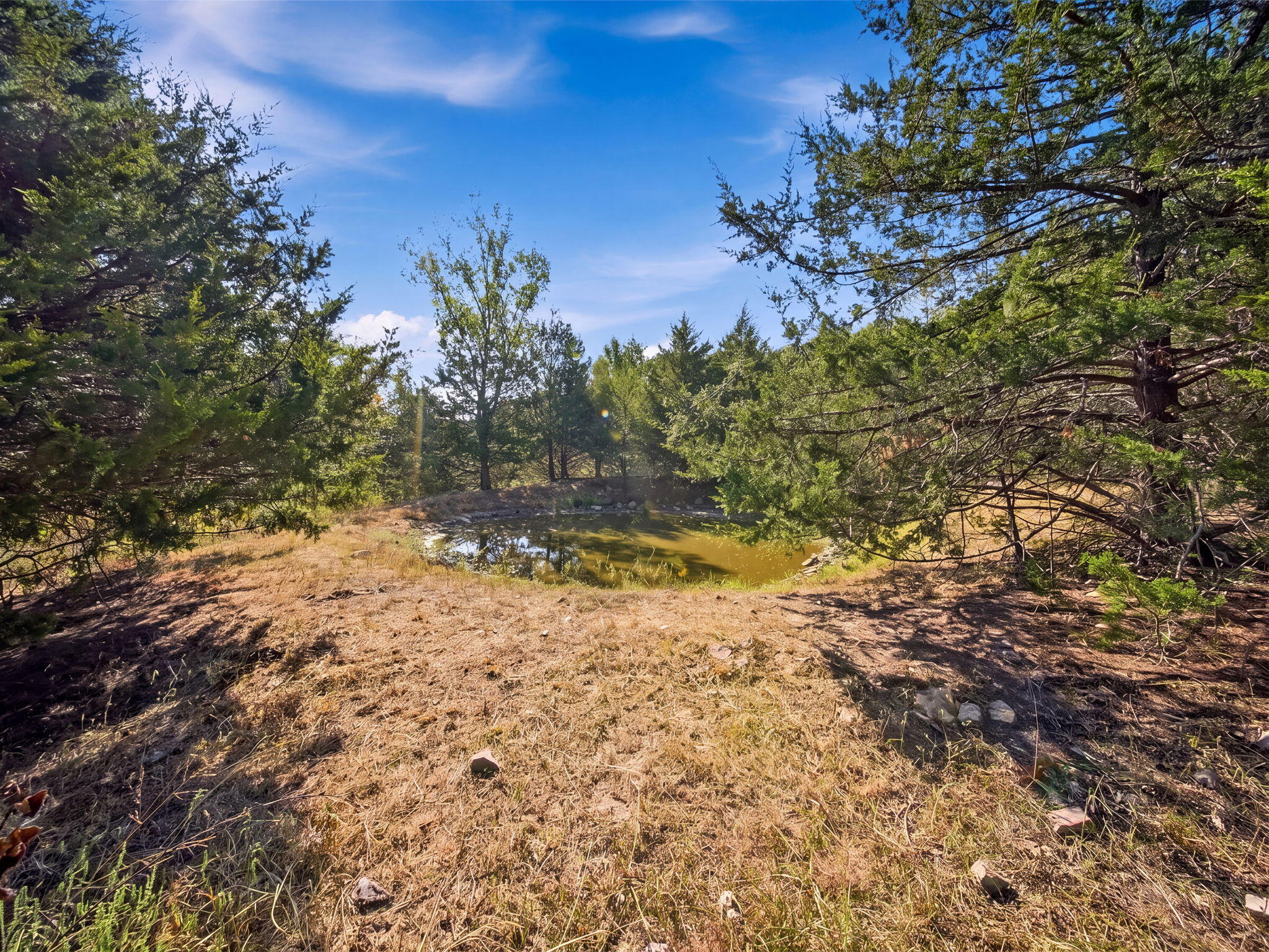 3723 Weaver Road Grovespring, MO 65662 - Photo 32 of 79 India Visser 3723 Weaver (54)