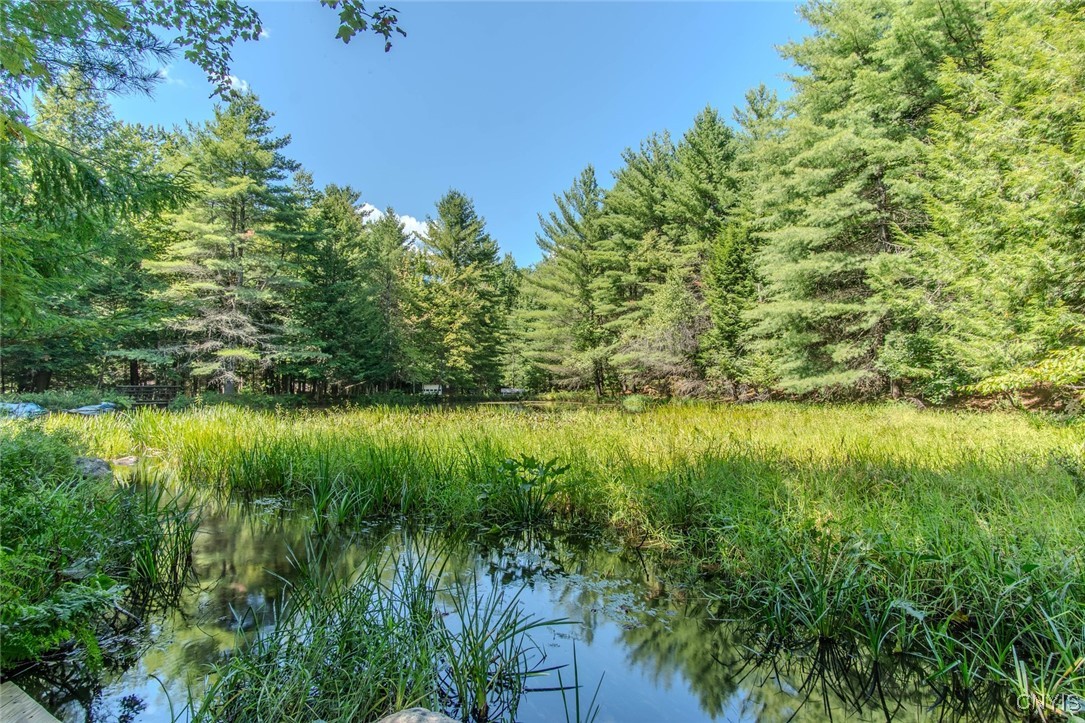 6443 Lingerlong Pond Road Watson, NY 13343 - Photo 13 of 50