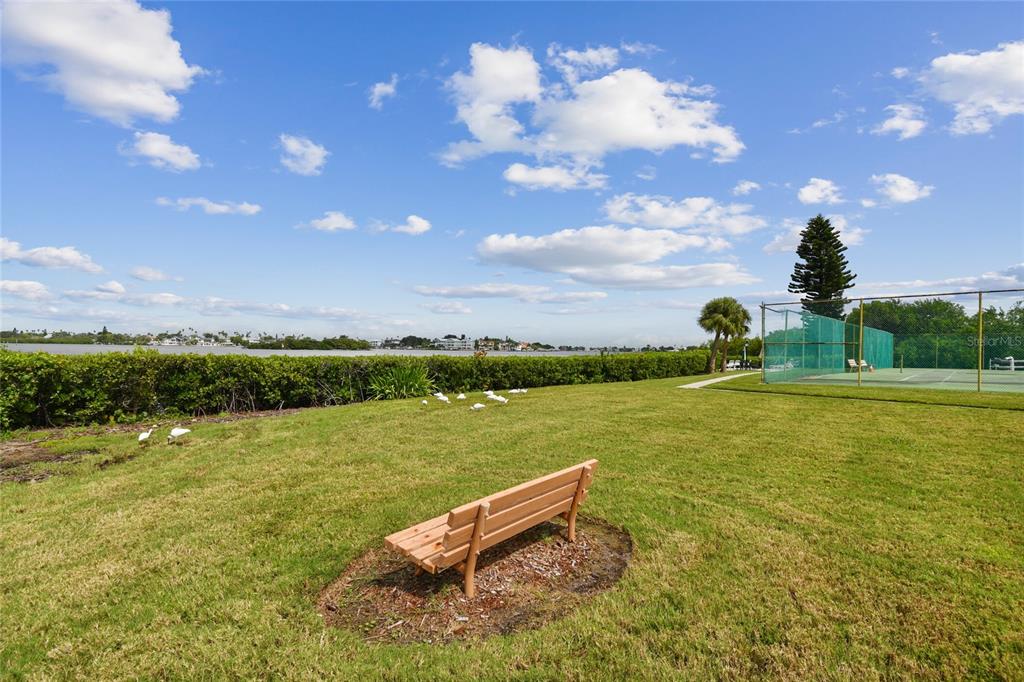 12760 Indian Rocks Road, Unit 910 Largo, FL 33774 - Photo 50 of 52 Gallery Image 50