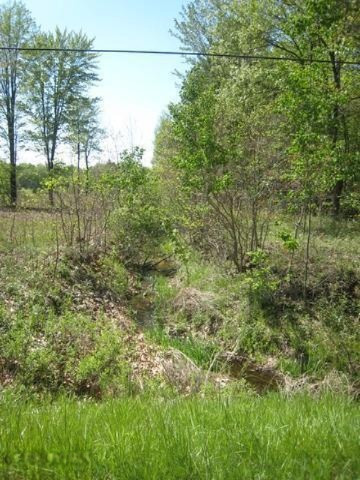 144th Ave Spring Lake Spring Lake, MI 49456 - Photo 11 of 15 20140712203627902940000000-o