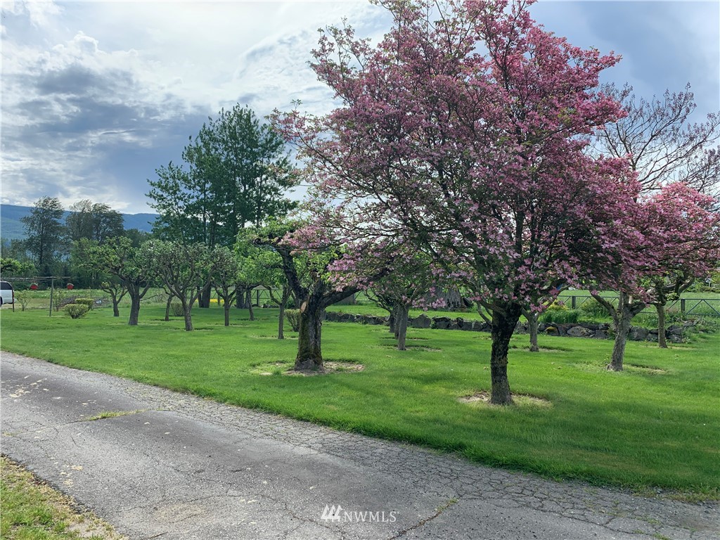 7332 Nooksack Road Everson, WA 98247 - Photo 20 of 33 a huge green field with lots of trees