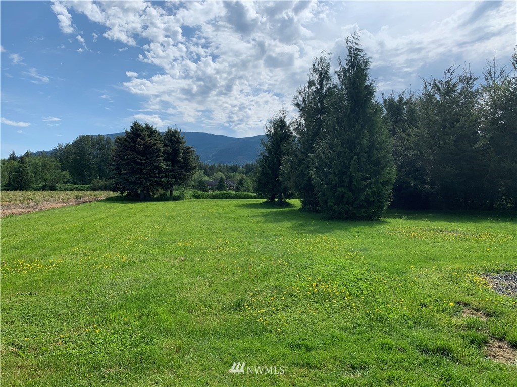 7332 Nooksack Road Everson, WA 98247 - Photo 25 of 33 a view of a grassy field